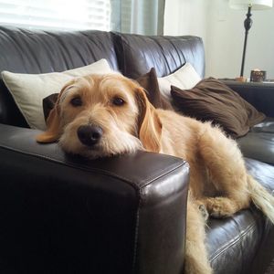 Meet your Posher, Edna